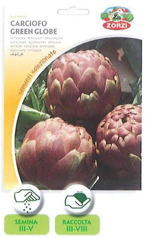 SEMI CARCIOFO GREEN GLOBE ZORZI