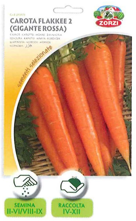 SEMI CAROTA FLAKKEE 2 GIGANTE ROSSA ZORZI