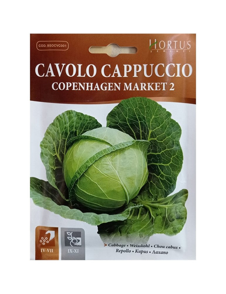 CAVOLO CAPPUCCIO COPENHAGEN MARKET 2