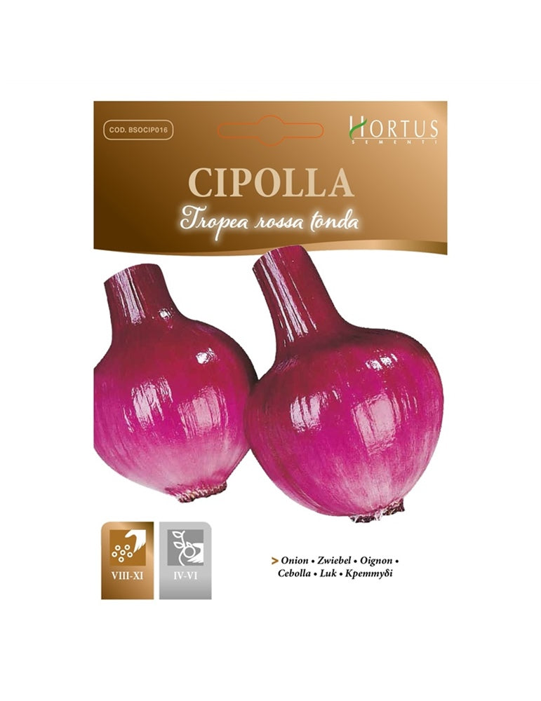 CIPOLLA TROPEA ROSSA TONDA