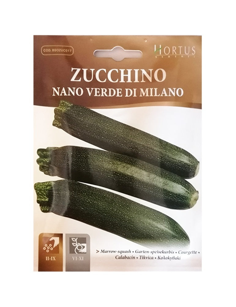 ZUCCHINO NANO VERDE DI MILANO