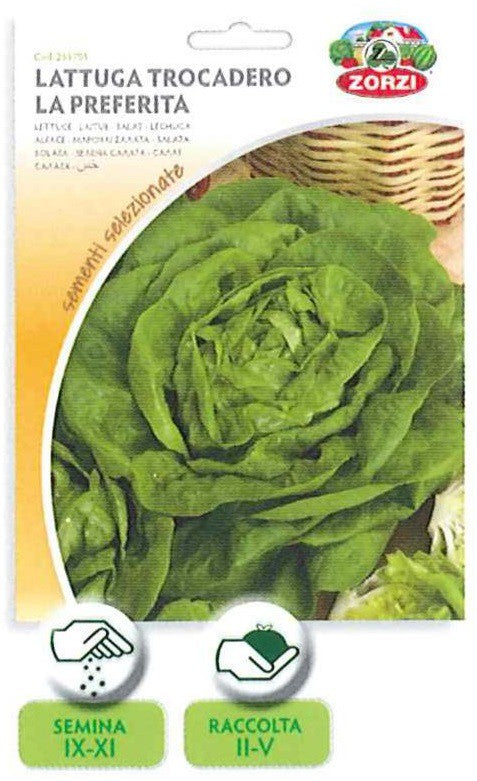 SEMI LATTUGA TROCADERO LA PREFERITA ZORZI