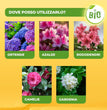 CONCIME LIQUIDO PER ACIDOFILE SOLABIOL BIO LT.1