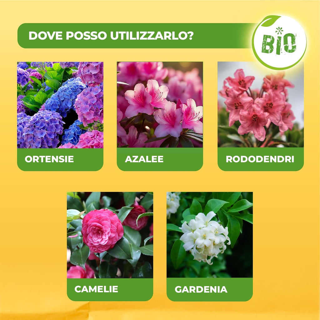 CONCIME LIQUIDO PER ACIDOFILE SOLABIOL BIO LT.1