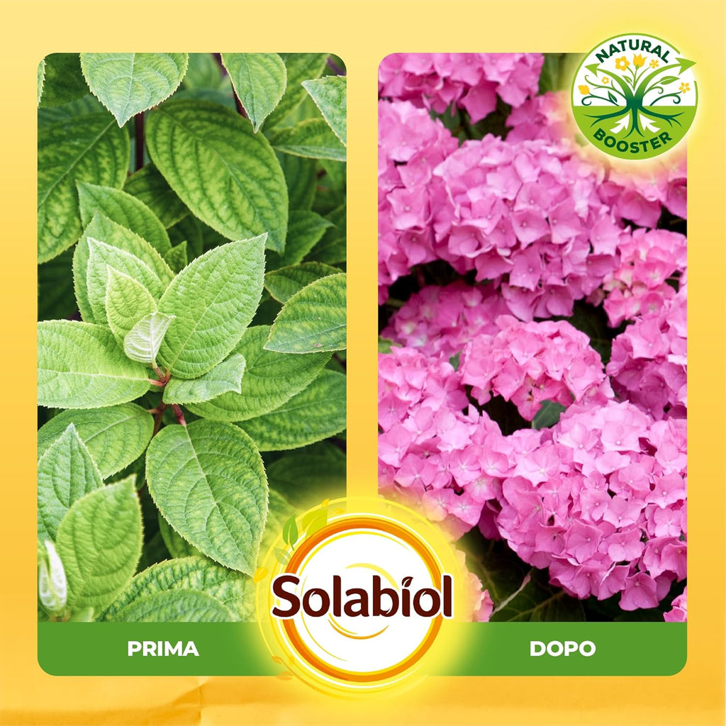 CONCIME LIQUIDO PER ACIDOFILE SOLABIOL BIO LT.1