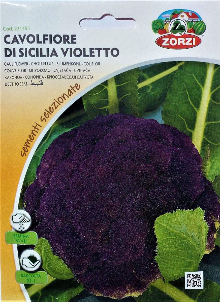 SEMI CAVOLFIORE DI SICILIA VIOLETTO ZORZI