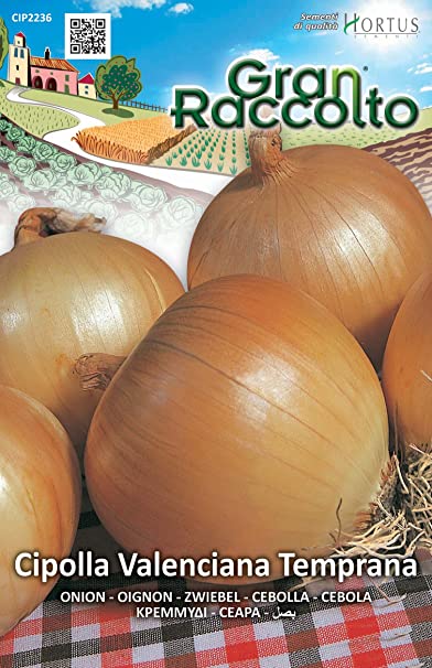 CIPOLLA VALENCIANA TEMPRANA