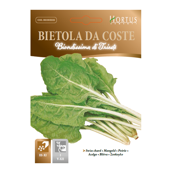 Bietola da coste biondissima di trieste hortus