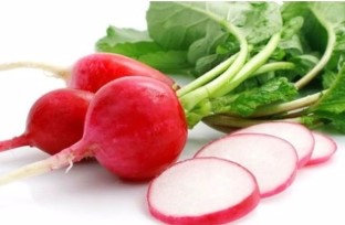 RAVANELLO SAXA 2 HORTUS