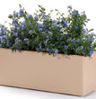 CASSETTA KEBE GREENER CM.100 CON RISERVA ACQUA E RUOTE COLORE DUNE