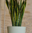 COPRIVASO FYRE GREENER CM.40 CON RUOTE OASI