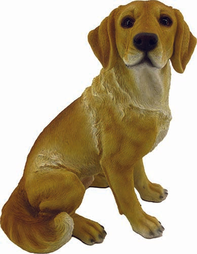 CANE SAM CM.28 ANTICO MESTIERE