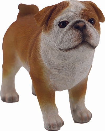 CANE OLIVER CM.12 ANTICO MESTIERE