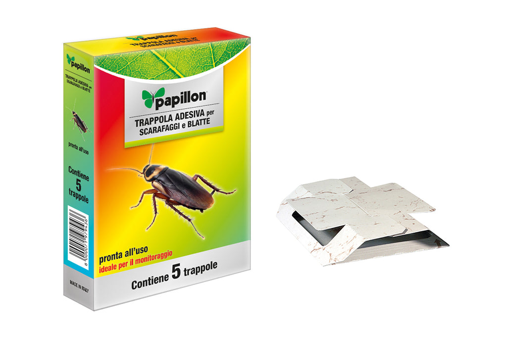 Insetticida adesivo scarafaggi Papillon 5 cartoncini