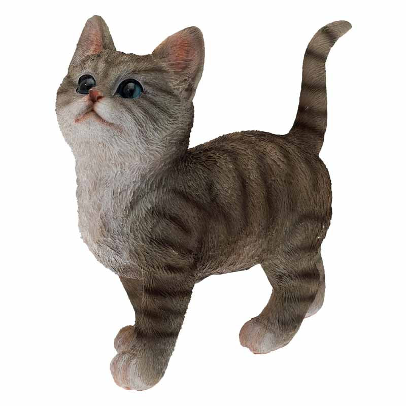 GATTO CHICCO CM.20 ANTICO MESTIERE