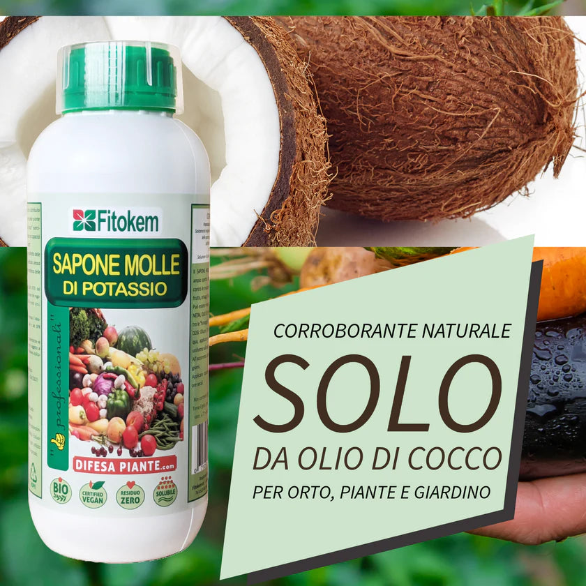 SAPONE MOLLE DI POTASSIO 1 KG. FITOKEM