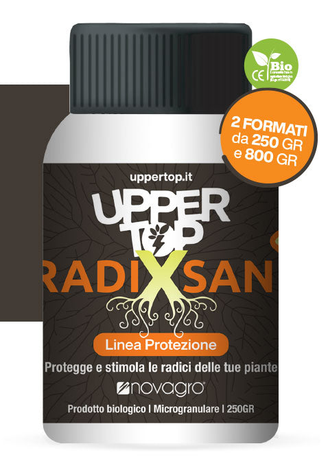 RADIXAN UPPER TOP 250GR.LINEA PROTEZIONE