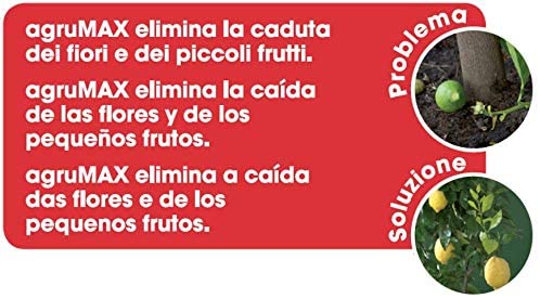 IMPIEGO