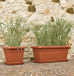 SOTTO CASSETTA AKEA CM.46X22X7H TERRACOTTA