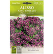 ALISSO NANO VIOLETTO