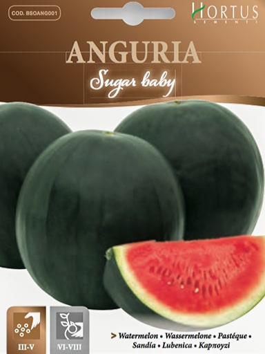 ANGURIA SUGAR BABY