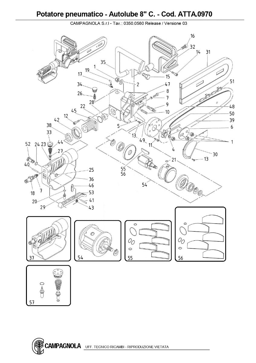 KIT GUARNIZIONI + ALETTE AUTOLUBE MOTOSEGA CAMPAGNOLA