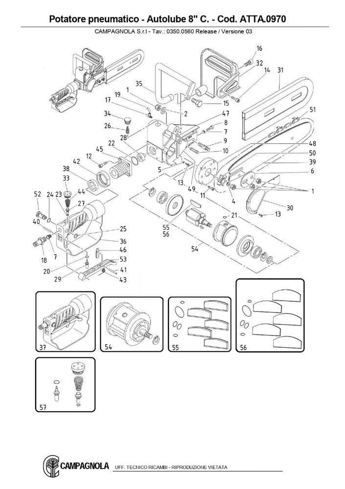 KIT GUARNIZIONI + ALETTE AUTOLUBE MOTOSEGA CAMPAGNOLA