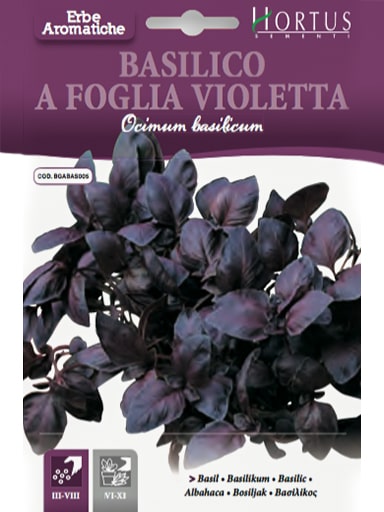 SEMI BASILICO FOGLIA VIOLETTA DB
