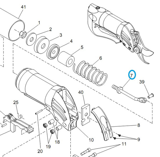 SCHEDA TECNICA 