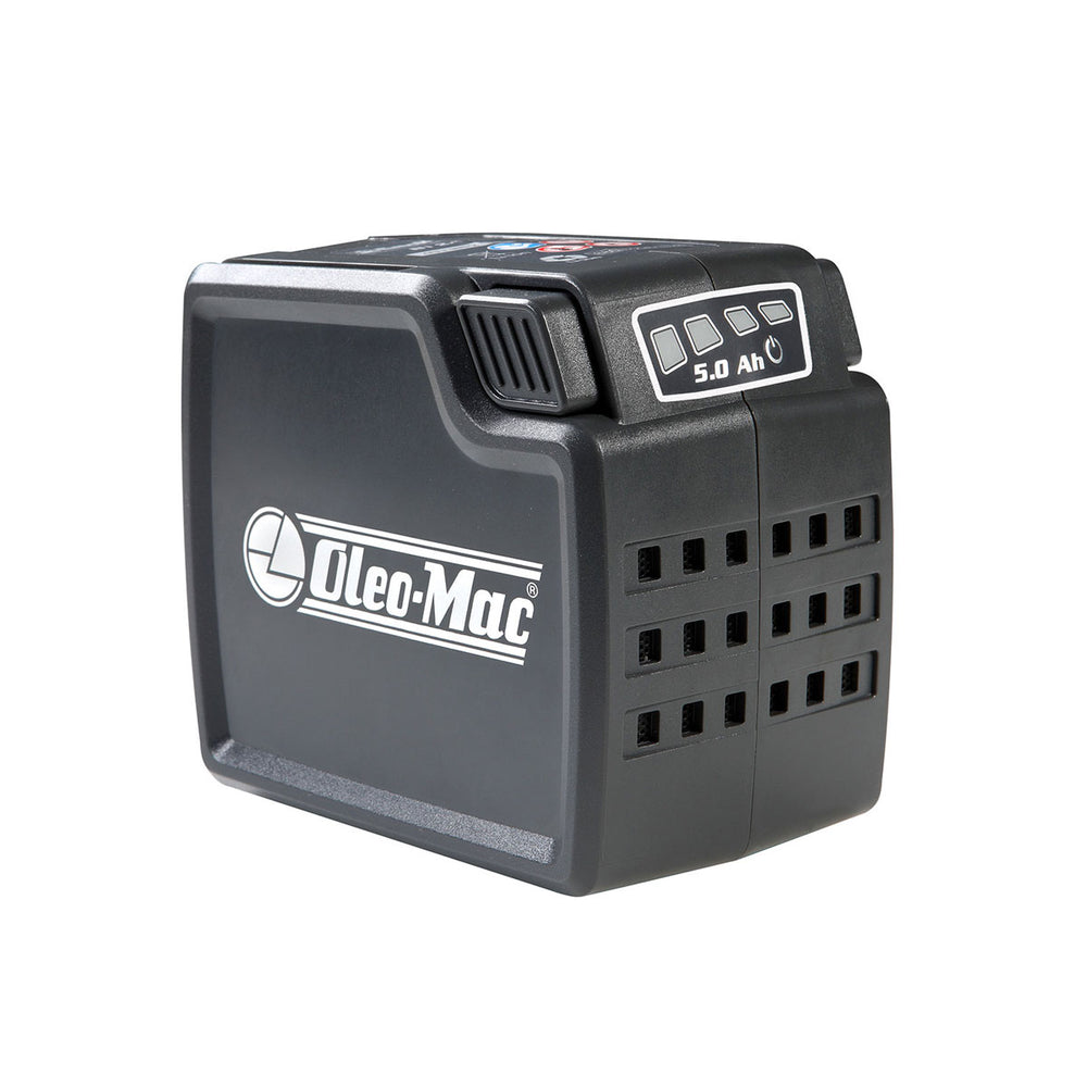 Batteria Oleomac ricambio BI5.0 OM per attrezzi a batteria