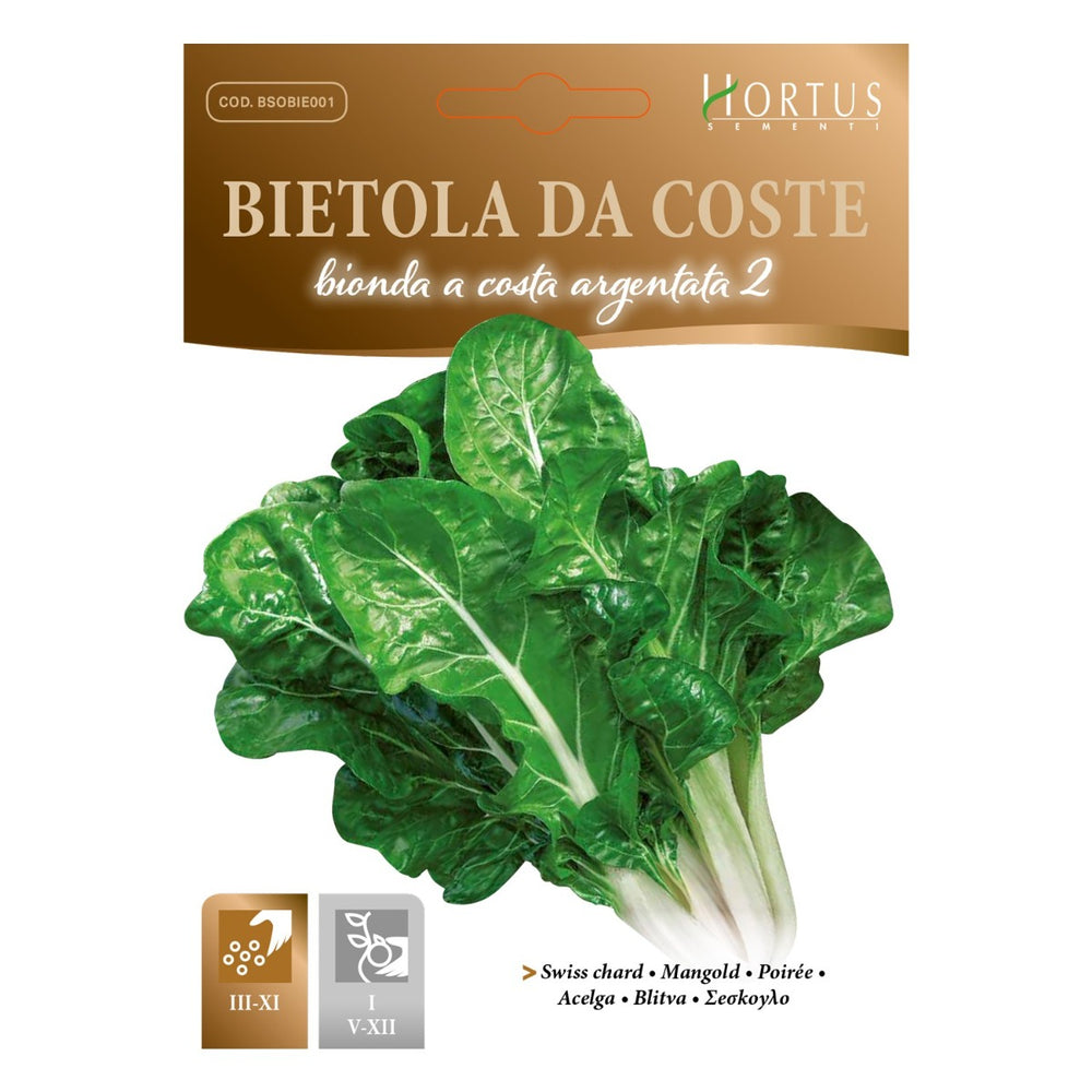 SEMI BIETOLA A COSTA BIONDA LARGA ARGENTATA 2 ZORZI