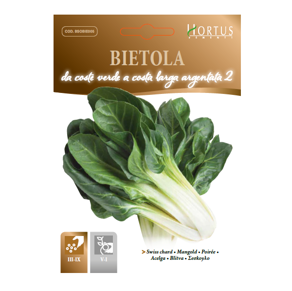 BIETOLA DA COSTE VERDE A COSTA LARGA ARGENTATA 2