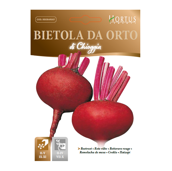 BIETOLA DA ORTO DI CHIOGGIA