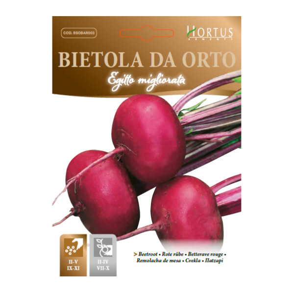 BIETOLA DA ORTO EGITTO MIGLIORATA