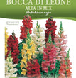 BOCCA DI LEONE ALTA IN MIX
