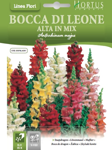 BOCCA DI LEONE ALTA IN MIX
