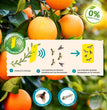 TECNOLOGIA PHEROMONE