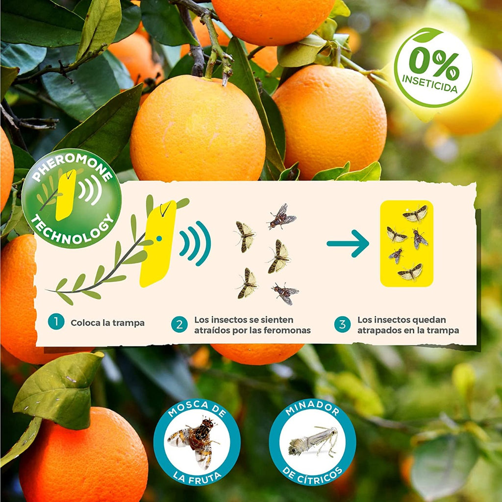 TECNOLOGIA PHEROMONE