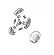 ROCCHETTO ANULARE CATENA 3/8 7 DENTI MOTOSEGA MS 661 STIHL