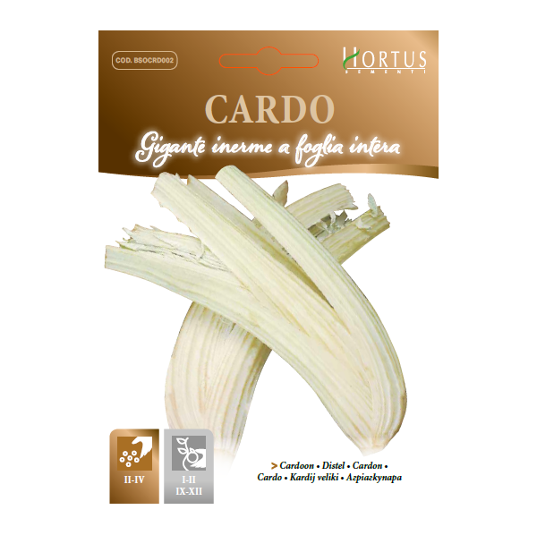 CARDO GIGANTE INERME A FOGLIA INTERA