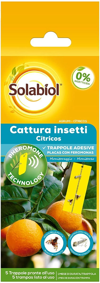 CATTURA INSETTI
