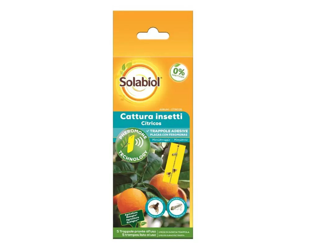 CATTURA INSETTI PER AGRUMI BAYER