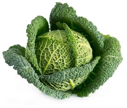 CAVOLO VERZA VERTUS2