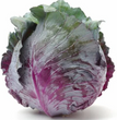 CAVOLO VERZA VIOLACEO DI VERONA