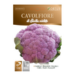 CAVOLFIORE DI SICILIA VIOLETTO