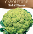 CAVOLFIORE VERDE DI MACERATA