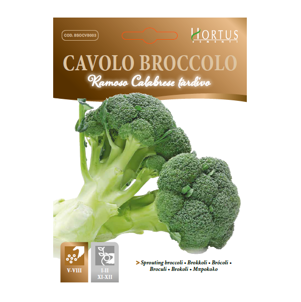 CAVOLO BROCCOLO RAMOSO CALABRESE TARDIVO