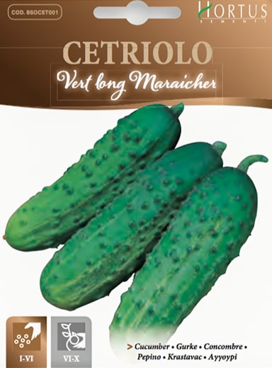 CETRIOLO VERT LONG MARAICHER