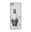 Candela ricambio  per soffiatore Oleomac BV126 RCJ6Y