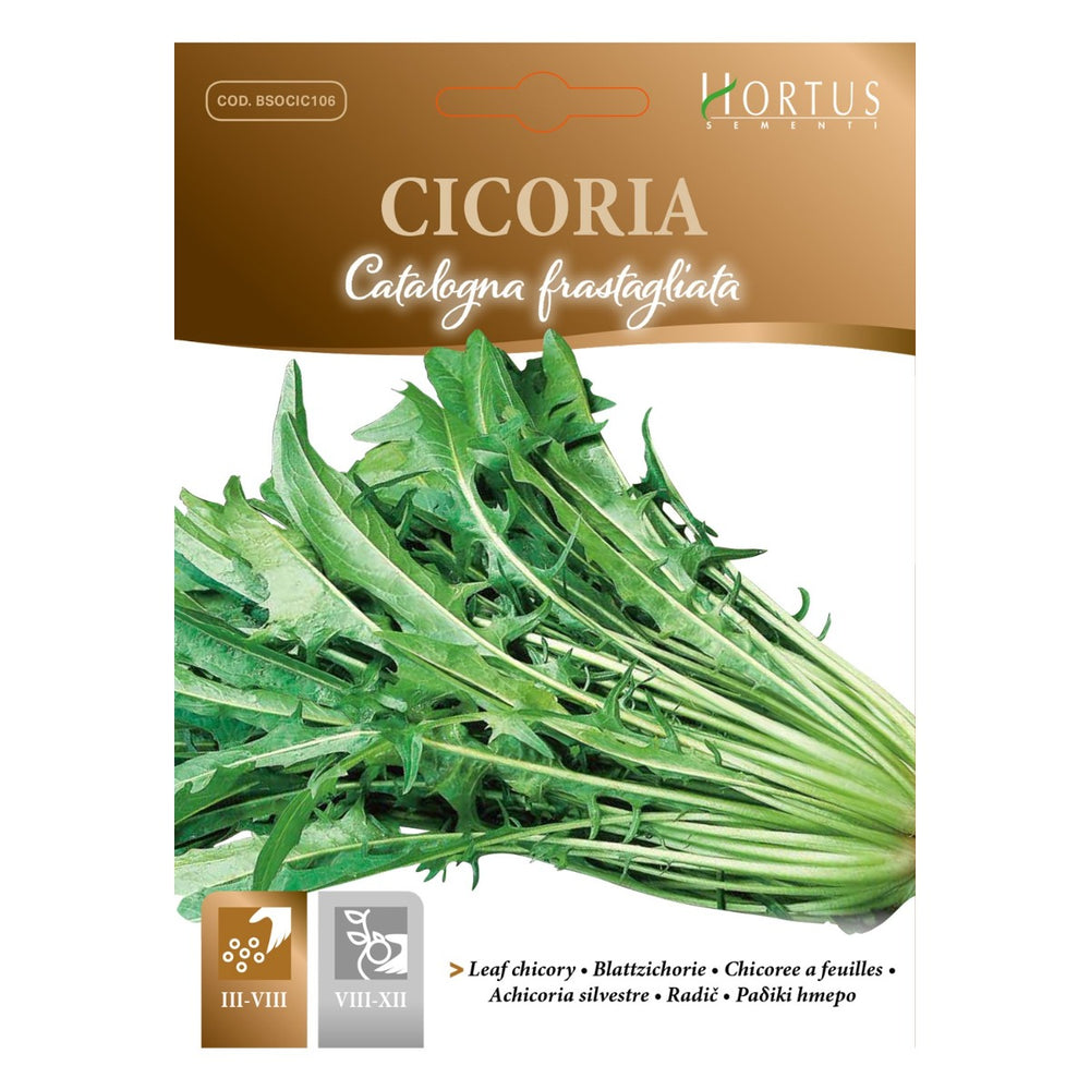 SEMI CICORIA CATALOGNA GIGANTE DI CHIOGGIA ZORZI
